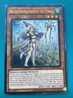 Morgan, the Enchantress of Avalon