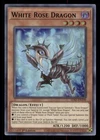 White Rose Dragon