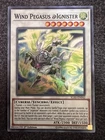 Wind Pegasus @Ignister