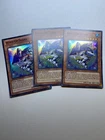 Number 32: Shark Drake