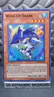 Wind-Up Shark