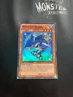 Double Shark