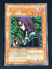 Witch of the Black Forest