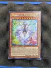 Magicat