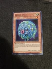 Needle Worm