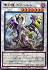 Blizzard Dragon