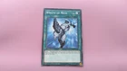 Wrath of Neos