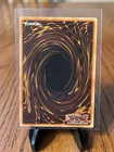 Blue-Eyes White Dragon