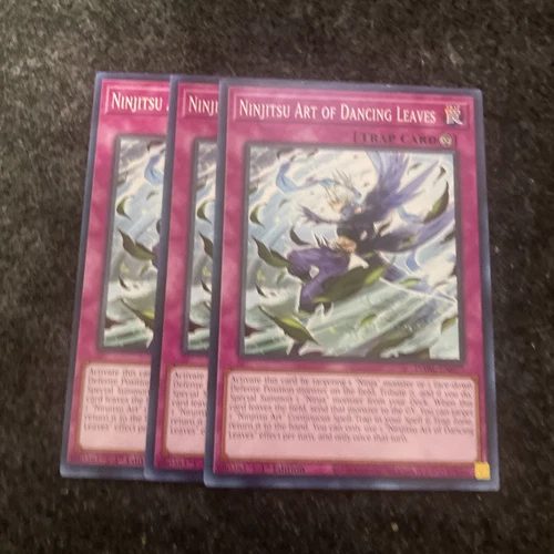 Ninjitsu Art of Dancing Leaves