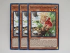 Coordius the Triphasic Dealmon