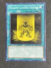 Yellow Luster Shield