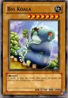 Big Koala