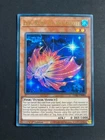 Crystal Beast Ruby Carbuncle