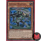 Zoodiac Whiptail