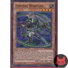 Zoodiac Whiptail