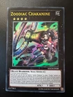 Zoodiac Chakanine