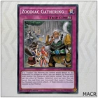 Zoodiac Gathering